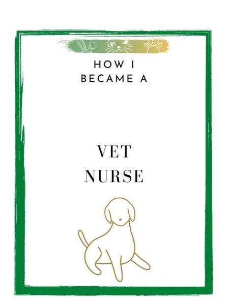 How I Became a Vet Nurse in the UK