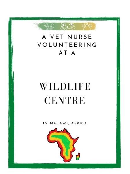 A Vet Nurse Volunteering at a Wildlife Centre in Malawi, Africa