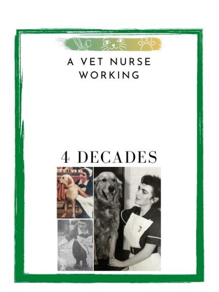 A Vet Nurse’s Career Spanning 4 Decades
