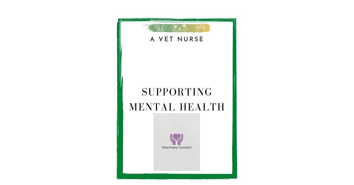 A Vet Nurse Supporting with Workplace Mental Health Issues