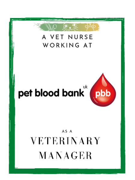 A Vet Nurse Working at Pet Blood Bank as a Veterinary Manager