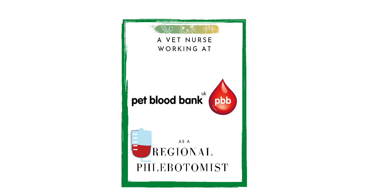 A Vet Nurse Working at Pet Blood Bank as a Regional Phlebotomist