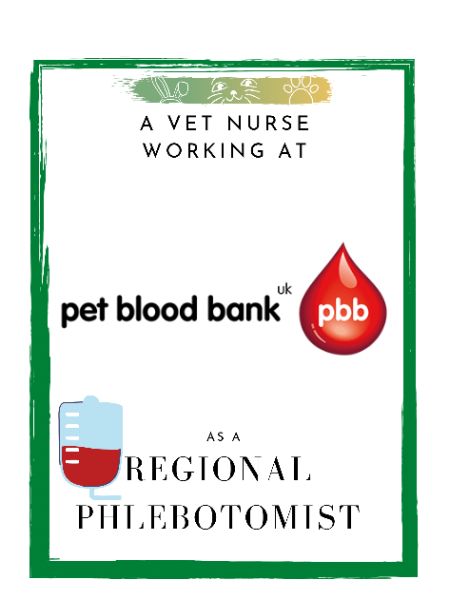 A Vet Nurse Working at Pet Blood Bank as a Regional Phlebotomist