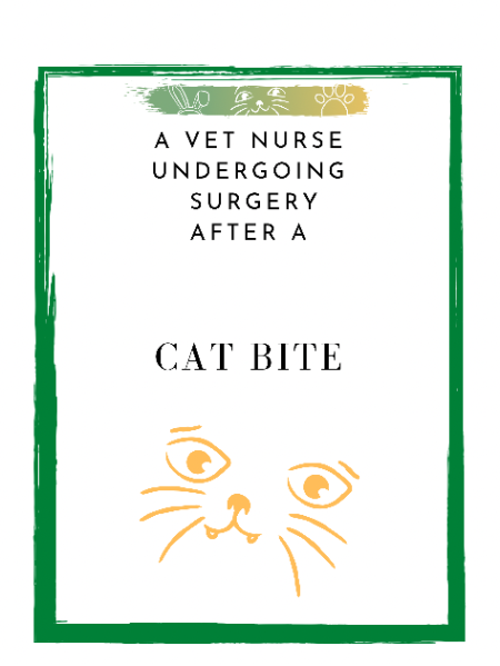 A Vet Nurse Undergoing Surgery after a Cat Bite