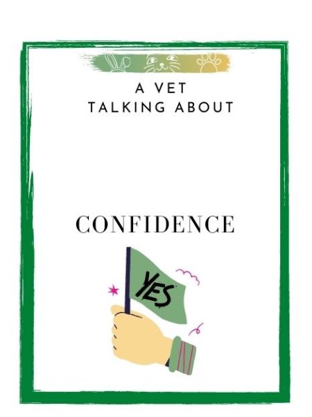 A Vet Talking About Confidence