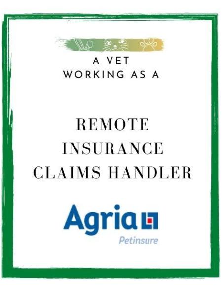 A Vet Working as a Remote Pet Insurance Claims Handler